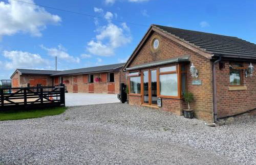 The Bungalow - Photo 6