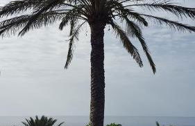 Casitas La Condesa - Foto 13