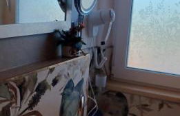 Buena Vista - Foto 28