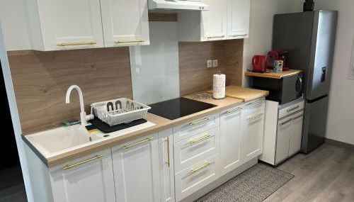 House with terrace près de l'Aéroport RoissyCDG - Tour Eiffel - Champs Elysée - Paris - Aéroville centre commercial - Parc Astérix - Disneyland Paris - Mer de sable - Châteaux de Chantilly et Ecouen - Parc des expositions Villepinte - Le Bourget - Foto 3