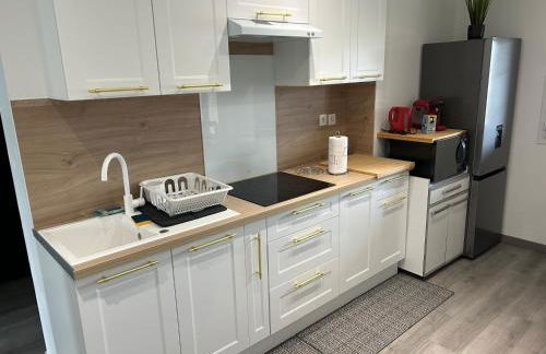 House with terrace près de l'Aéroport RoissyCDG - Tour Eiffel - Champs Elysée - Paris - Aéroville centre commercial - Parc Astérix - Disneyland Paris - Mer de sable - Châteaux de Chantilly et Ecouen - Parc des expositions Villepinte - Le Bourget - Foto 3