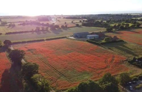 Modern Coastal 2 Bedroom Home to Relax and Unwind - Foto 31