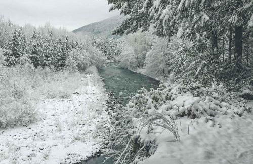 River View Cabin - Meredith Lodging - Foto 41