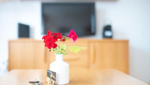 Fewo Schneckenhalde App 12 - Foto 4