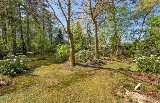 "Eweline" - 75m from the sea - Foto 3