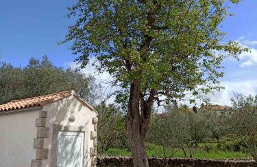Holiday House Vela Vrta - Foto 8
