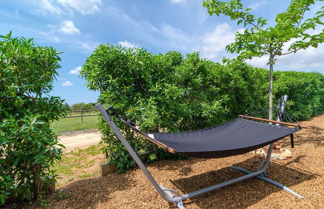 Son Vigili in Campos - Foto 4