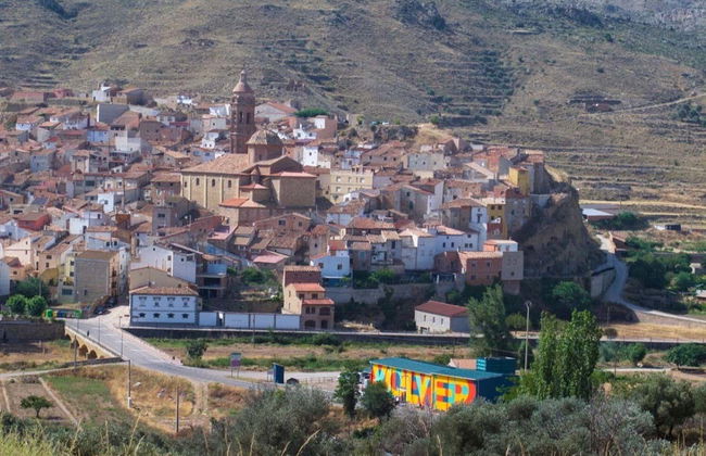 Visite d'une oliveraie et d'un moulin à huile + Dégustation d'huile d'olive et de légumes marinés - Photo 6