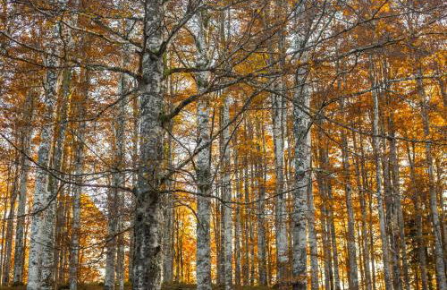 Appartamento A Due Passi - Foto 15