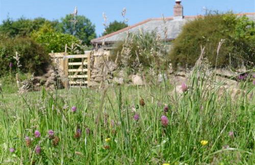 Tremerth Cottage Mousehole lovely country views - Photo 1