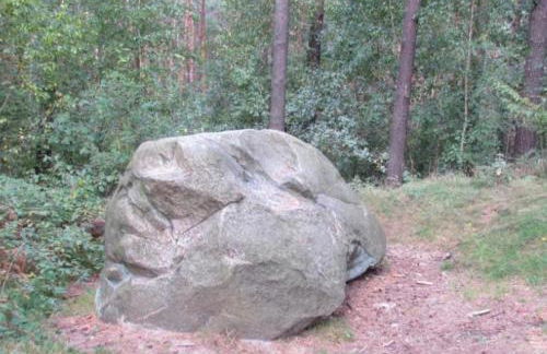 Fewo Am Waldrand - Foto 14