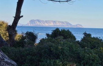 Le Pavoncelle - Foto 34