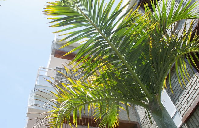 Apartamentos El Paseo - Foto 74