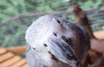 Casa Lilly - Foto 74