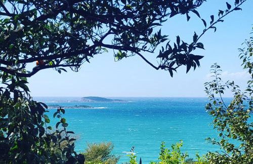 Apartmani Ana - Foto 22