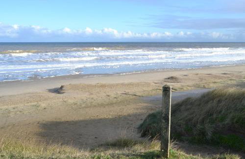 Little Tern - Foto 11