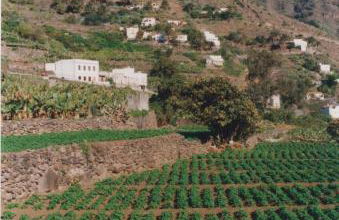 Casa Rural La Cuadra - Foto 31