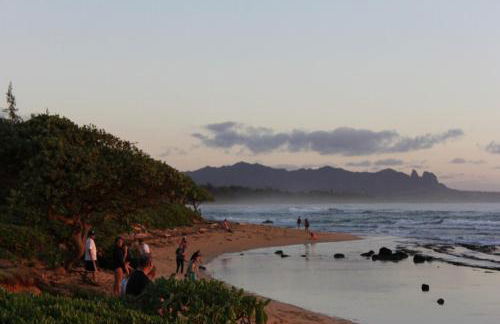 Mountain View Double Bed Room, Beachfront Resort, Lanai, AC, Pool, Restaurant, Gym, Spa - Foto 65