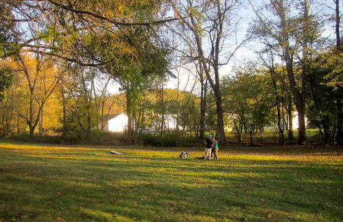 Alice Rocks - Pet Friendly, Firepit, WiFi - Foto 42