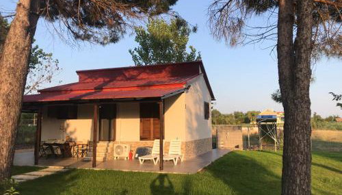 Aster Beach House - Foto 4, Garden