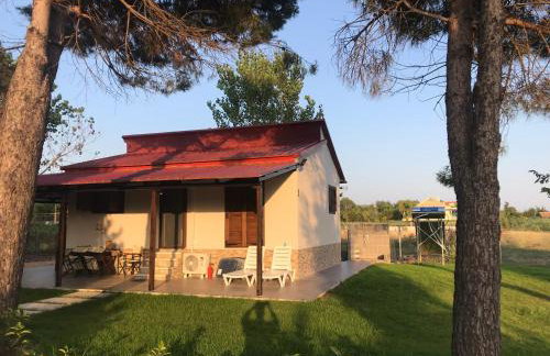 Aster Beach House - Foto 4