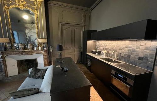 Luxueux 2 pièces 65m2 Hôtel Particulier XVII ième siècle-Centre Historique Clermont-Ferrand - Foto 16