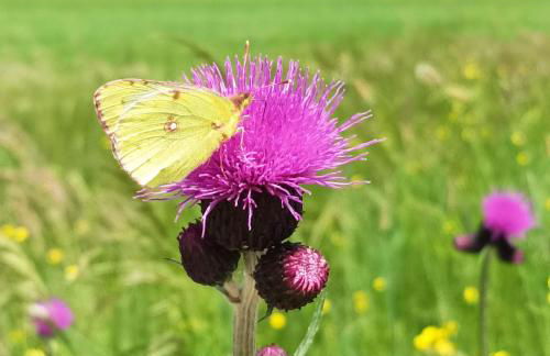 Ferienwohnung Ilona, Armin & Simon Funke - Photo 17