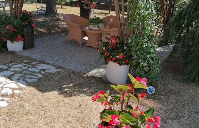 Casa Bileza - Photo 11