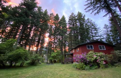 Elk Lodge - Photo 51