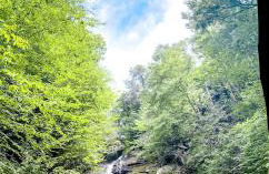 Serenity Ridge - Foto 55