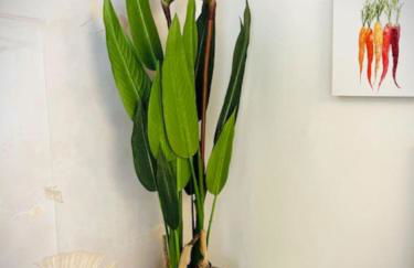 Catskill Cabin Bird of Paradise 7 - Foto 12