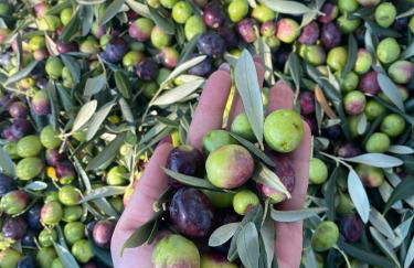 Villa Ella - Foto 28