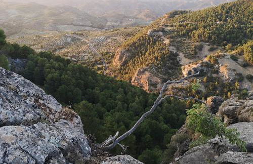 Vista Mora Sierra Cazorla - Foto 27