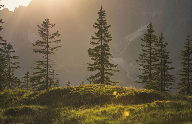 Wildbach Lodge Dienten - Foto 30