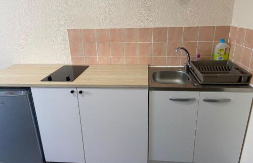 Studio meublé à Lyon Centre - Foto 5