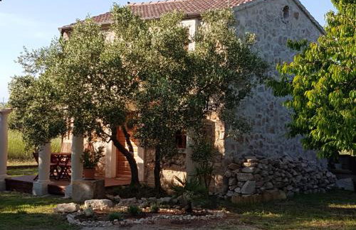 Villa Flaveico - Photo 5