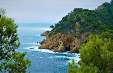 Appartement o En Cala Salions - Photo 40