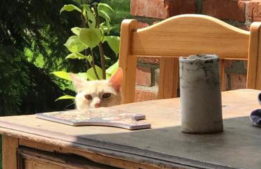 Zagroda w Puszczy - Photo 21