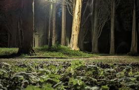 Beautiful cottage in Brentwood - Foto 53