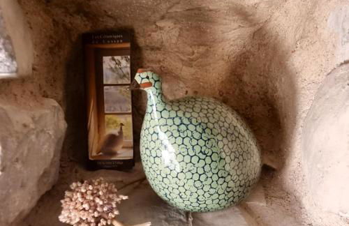 Villa charmante à Lussan avec piscine privée et jardin closa - Photo 43