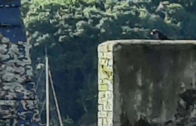 Newly Refurbished 2nd Floor Apartment Lil Nauti - Foto 31