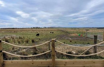 Achmeney Glamping larger than Average pod - Photo 15