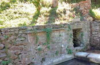 à l'orée du bois - Foto 24