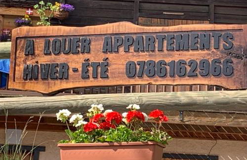 APPARTEMENT PLEIN SUD AUX SAISIES N°6 - Foto 34