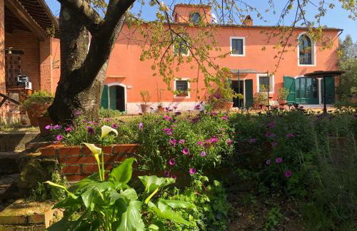 Agriturismo Podere Marchiano - Foto 91