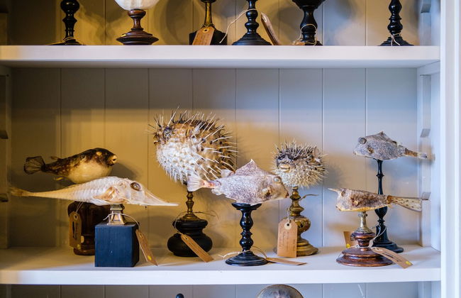 La Bursch - Photo 31