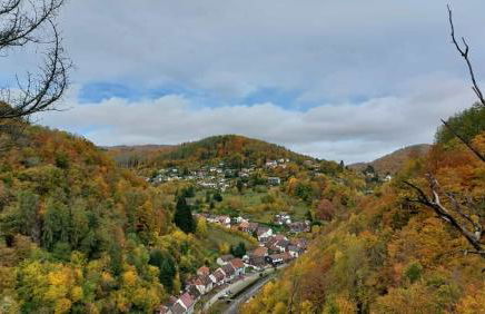 Ferienwohnung Schwarzer Hirsch - Foto 19