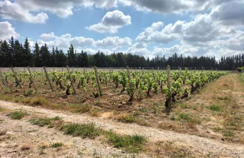 Dimora Storica Minioti intera - Foto 30