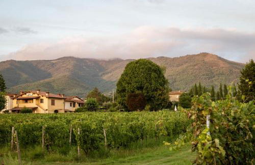 Agriturismo San Jacopo - Foto 7