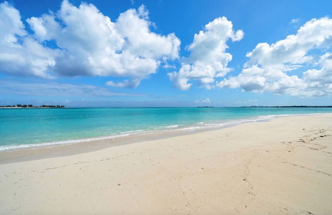 Modern, Stunning & Bright Central Beach Villa - Photo 23